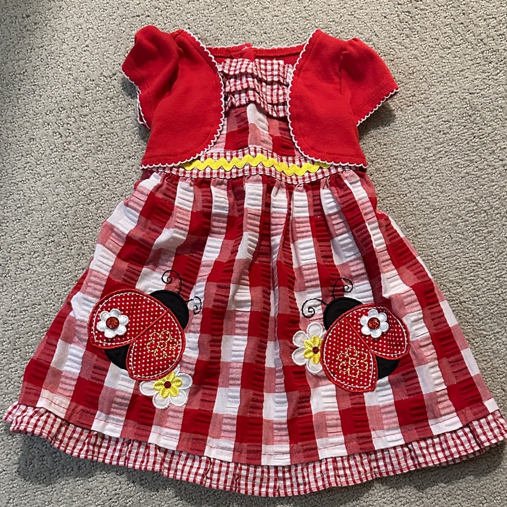 Youngland Red and White Checkered Dress with Ladybug Design